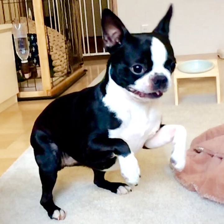 9985167e e5fe 4597 9d67 3ef943dee0bd