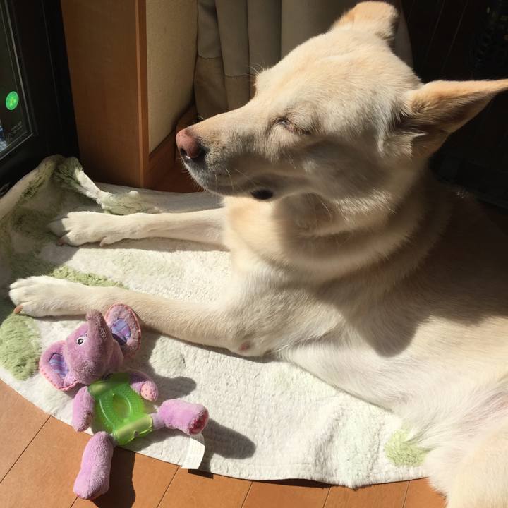 99857396 54de 4c08 8a7a d6adf045f7b7