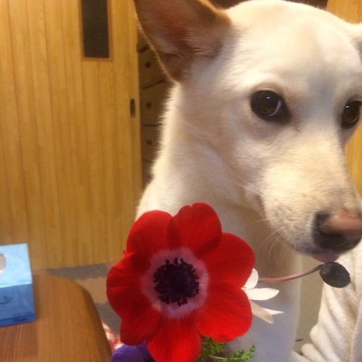 99857e15 d726 4a99 a619 68438441eb2a