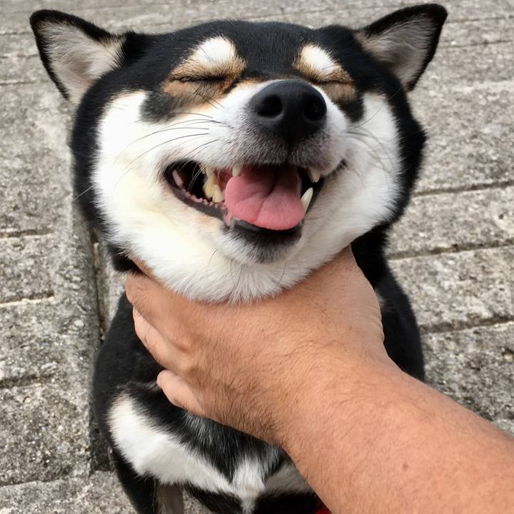 9985bcc0 9221 405e a087 607dee87a2e0