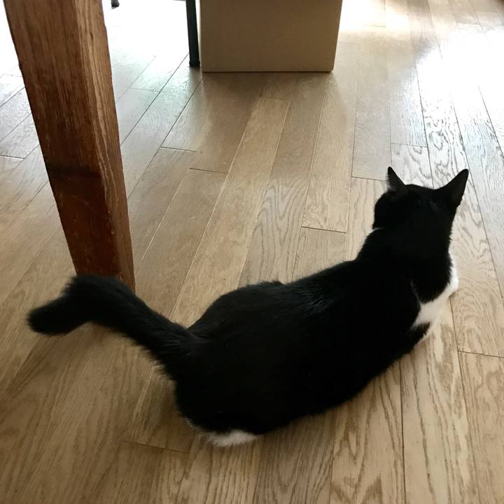 9985c5cf 9017 4d4e 8229 be020c4b00d3