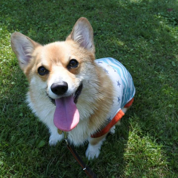 9985ee1e 6c57 48a8 9a7d a77ea5742250