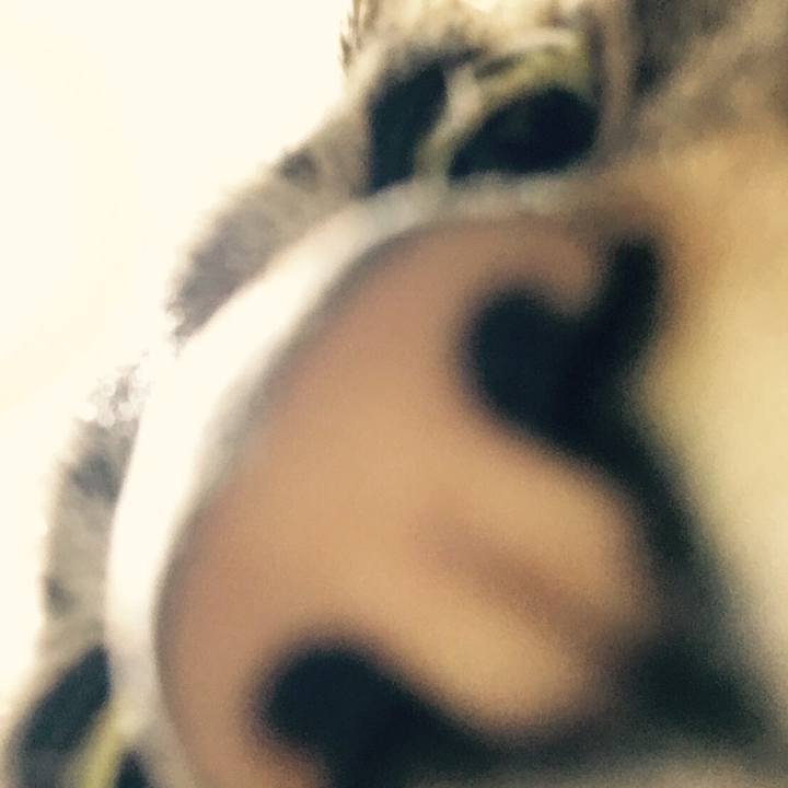 9985fff5 514f 4ba1 a5b0 03e32f5aca20