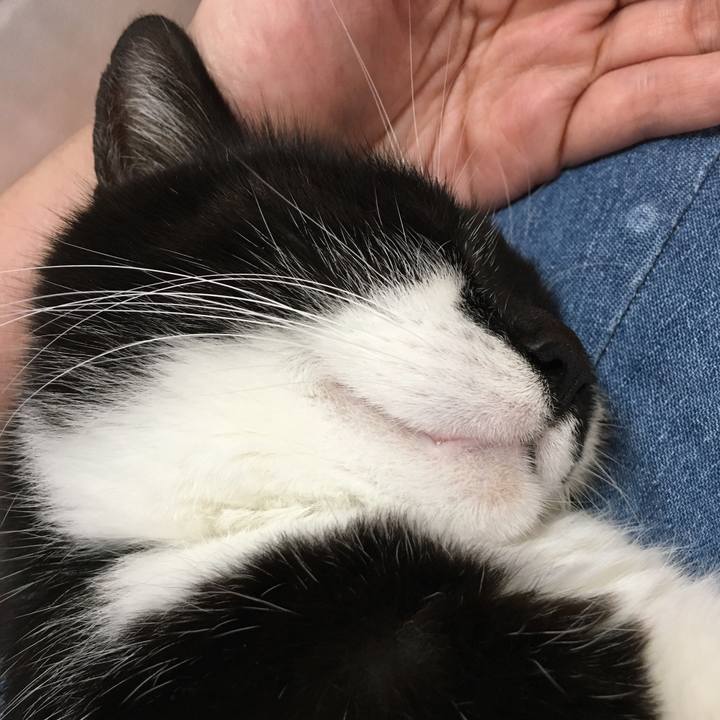 998635b8 8690 4dd1 b645 877205bcb488