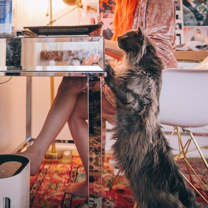 998648bf 728a 4126 9403 7a77ed6134d6