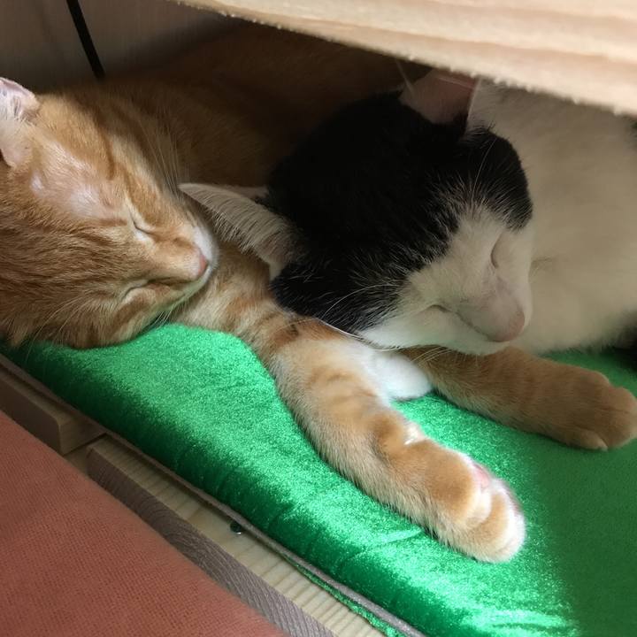 99868233 4233 4ede 9ca1 46e6b3836e02