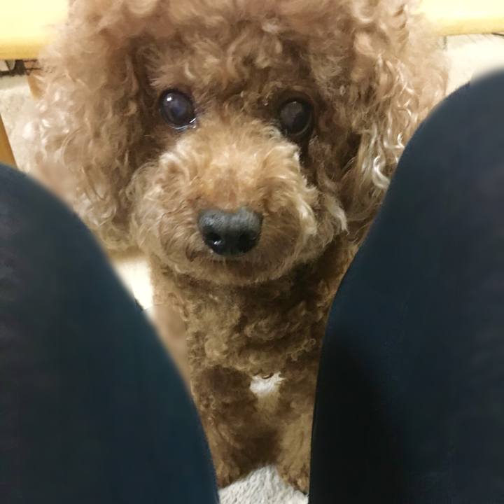 99869a60 f2a4 4a12 bb53 8a5ce13add4b