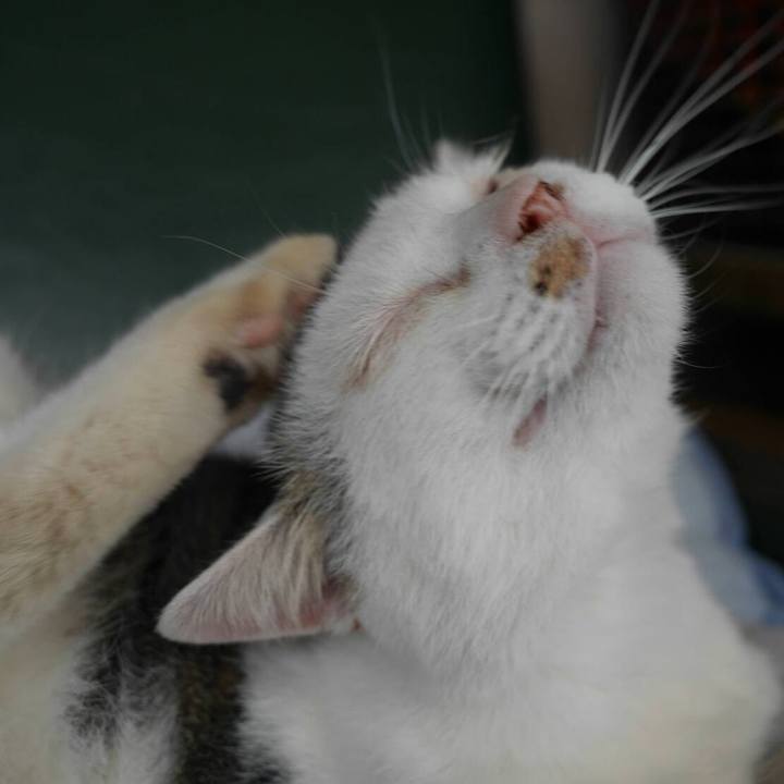 9986cca6 8ced 49bc ba53 2c1783944da2