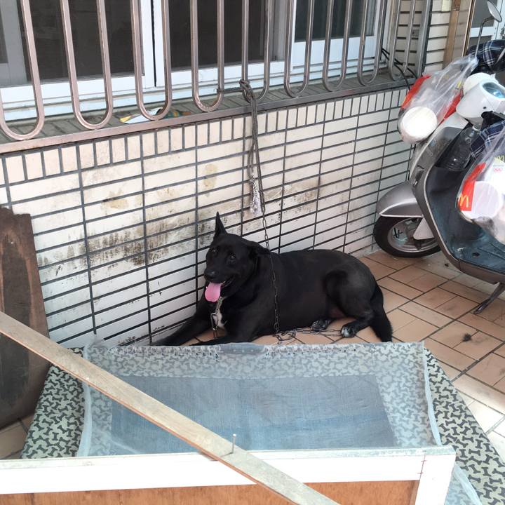 9986cd4a ec40 4f55 9aa7 6aacb43f222d