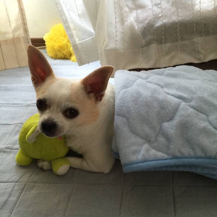 9986ebaf 346c 474b 897f 38f3b0eee9ee