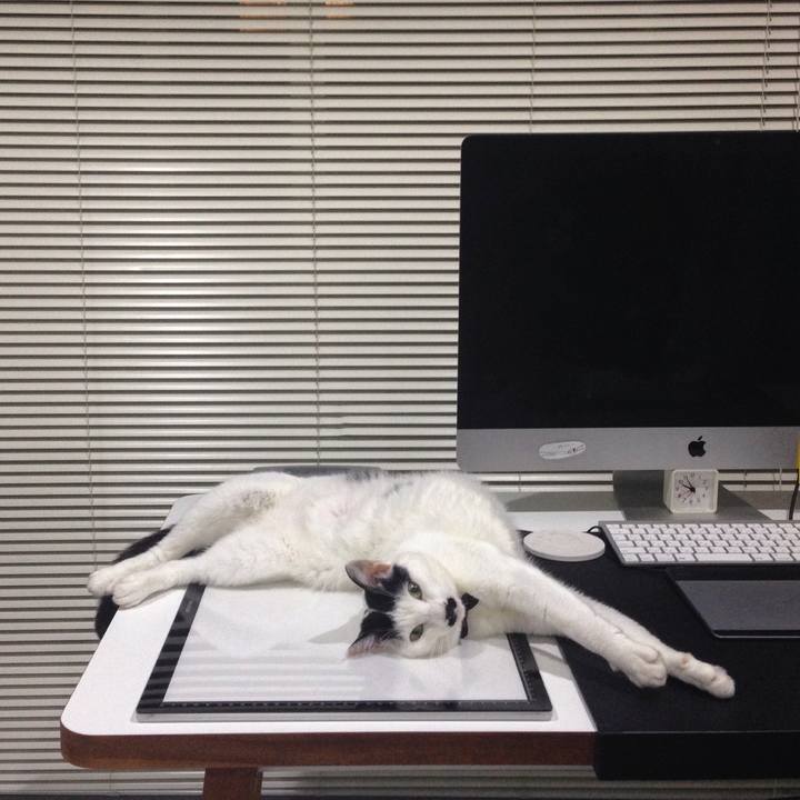 9986efbc 9e67 414e 8e06 7f0d1d9e1295