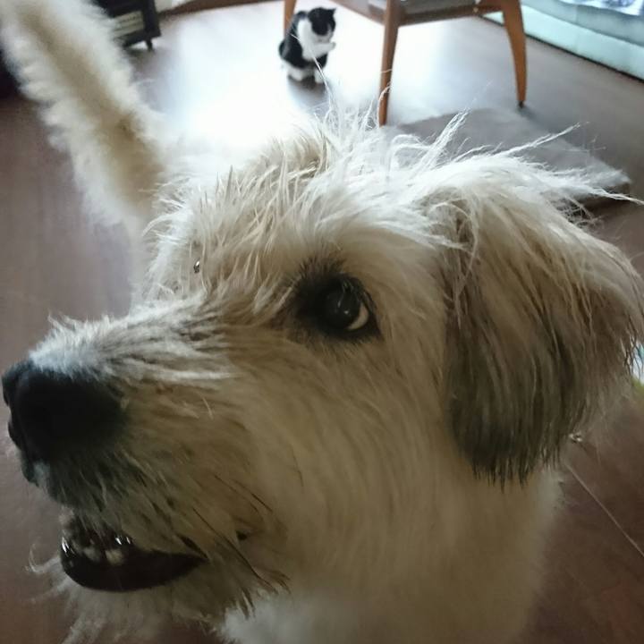 9987211a 7437 4466 a1ef 0f30ac095122