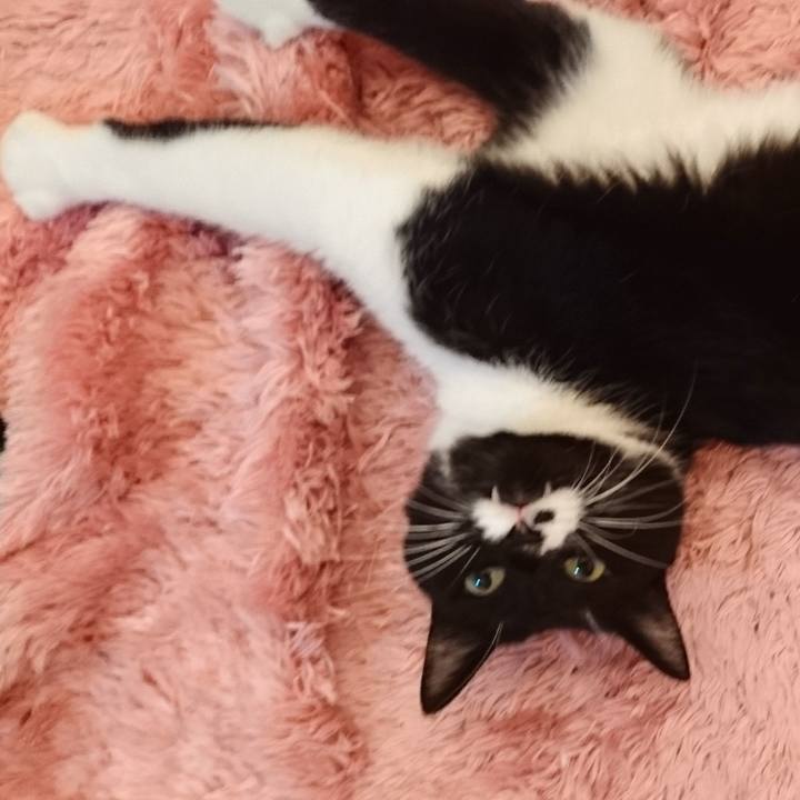 9987565a 33c5 483b 9f04 eedcbc3a2229