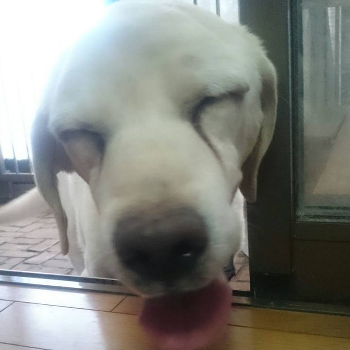 9987ce66 4136 49ba 8b8a d161af03a5c9