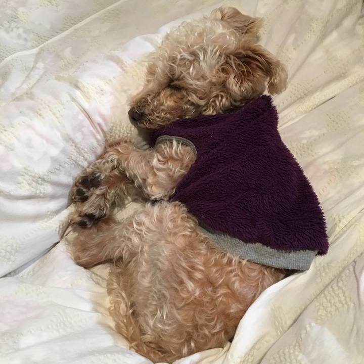 998838c5 5df9 48e9 b77a 50eb9eeb335e