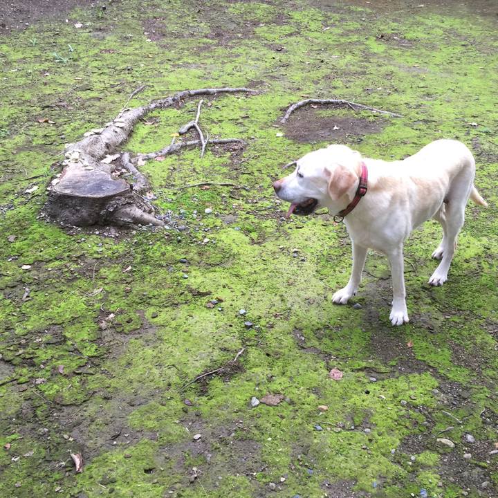 99893298 71b1 4481 9f29 6f9aa0cc2469