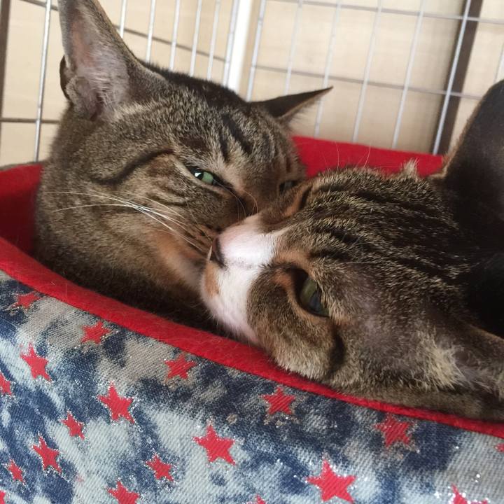 998987fd a5ba 4de1 afa2 ce3669ba0af3