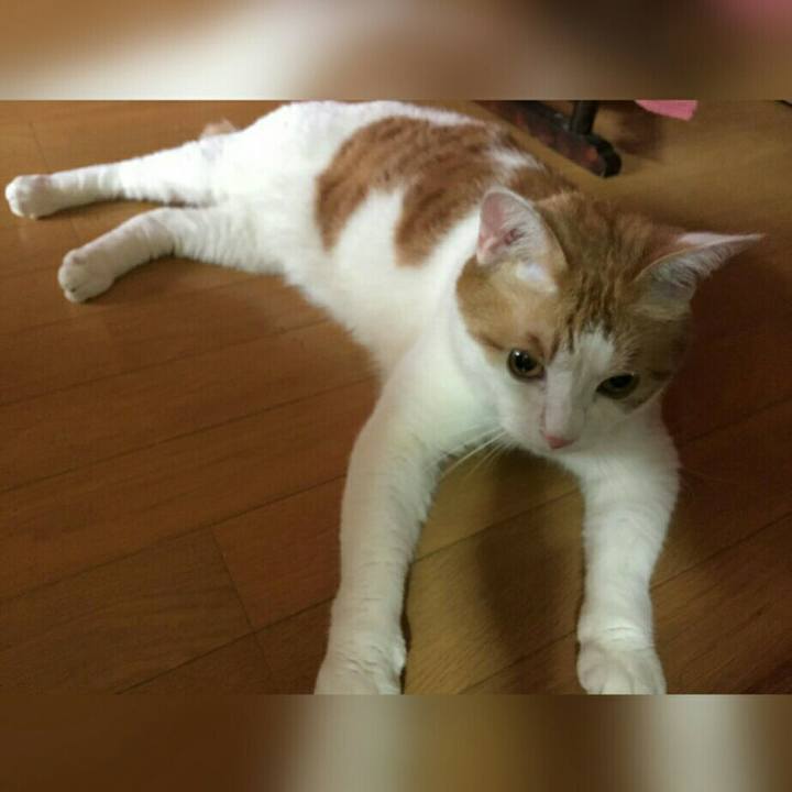 99898b3f a0b3 4900 b372 172c705426c6