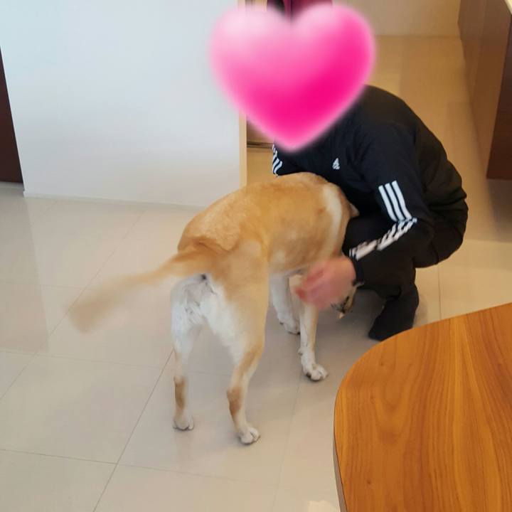 998a0d18 37d9 4319 a911 6782cdf0f629