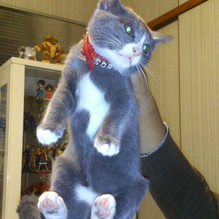 998a38e3 1f26 4d72 a58c 0eafd6f158f4