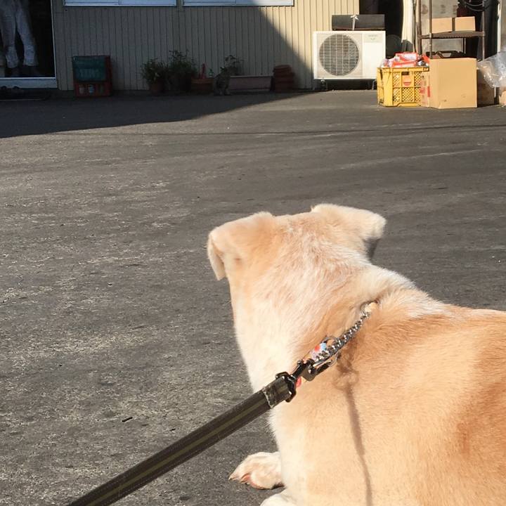 998a8754 43f6 41a9 93a2 573c24938477