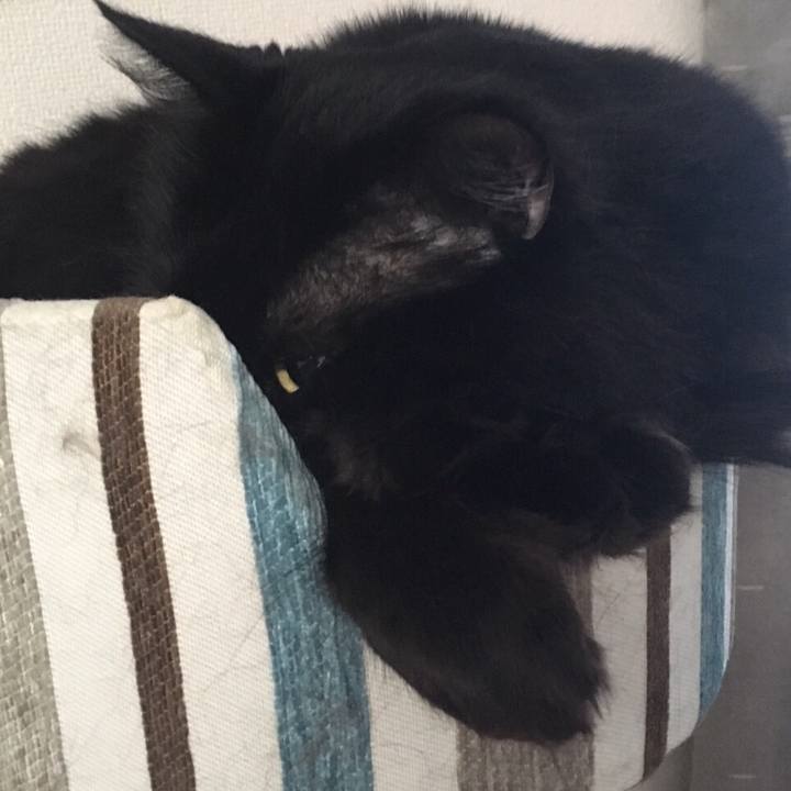 998af222 aedd 48c9 bbee 56ec54a2a652