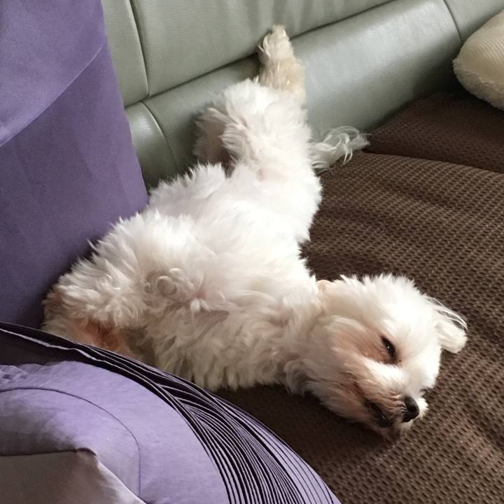 998b09e9 3016 43e0 a645 f0772736bf4d