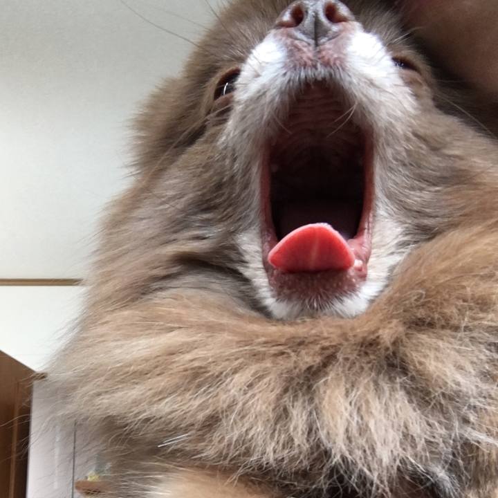 998b3eed 8d73 4bcf bb2f 38b5074d2141