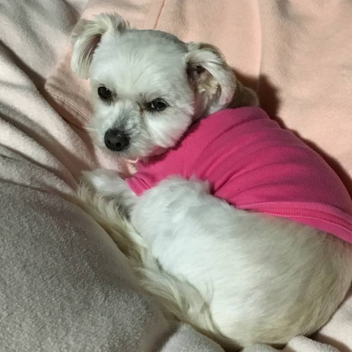 998bcc6f 97be 413e b1f7 43472afc202a