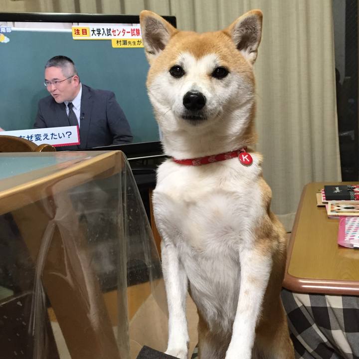 998c3158 9e16 48a9 b342 1fcef96a9c7f