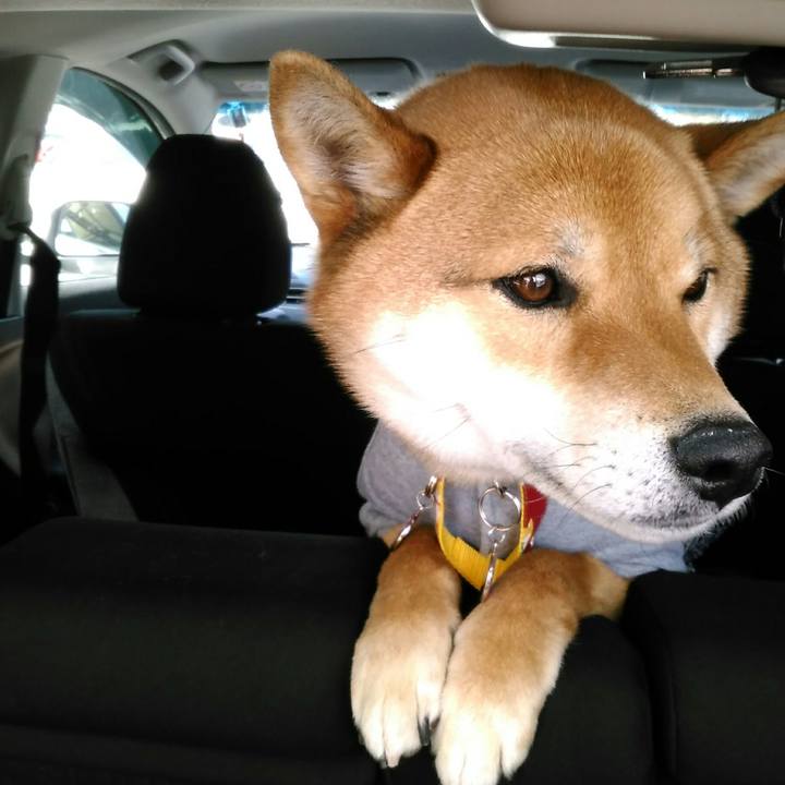 998c6ca0 b4fc 4446 93c4 e6be53d41455