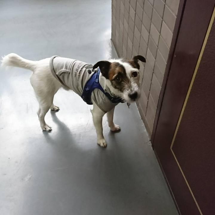 998d3834 c601 4754 8af0 6a7ae7560317