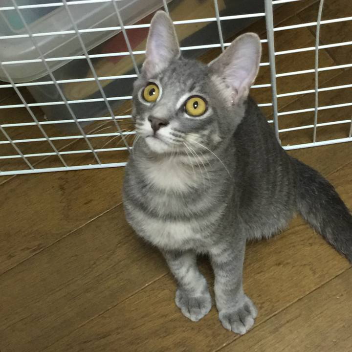 998d7b2b c025 4aa2 88fd ee1c538e1720