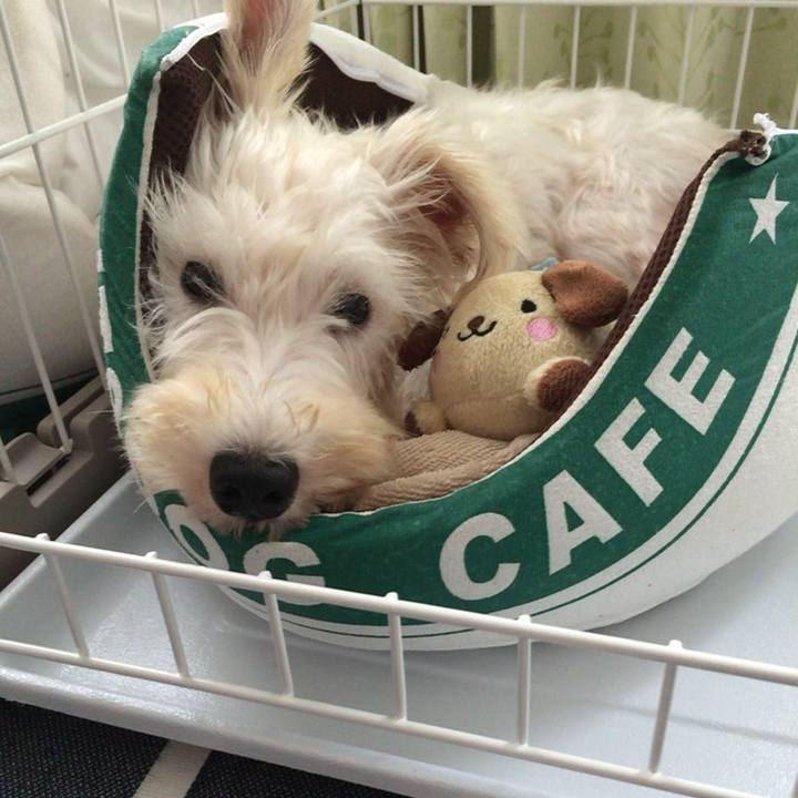 998daf9b 123e 452b bc93 d505e73c707d