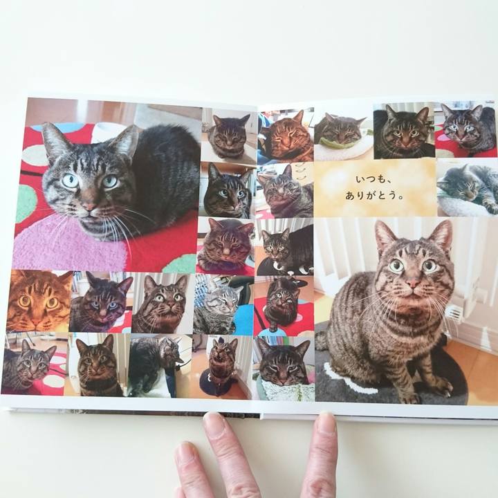 998e3668 4a7d 4408 8986 78ca5a67295e