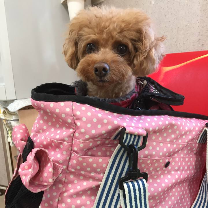 998e9bce a583 43f6 b248 5717c9d95746