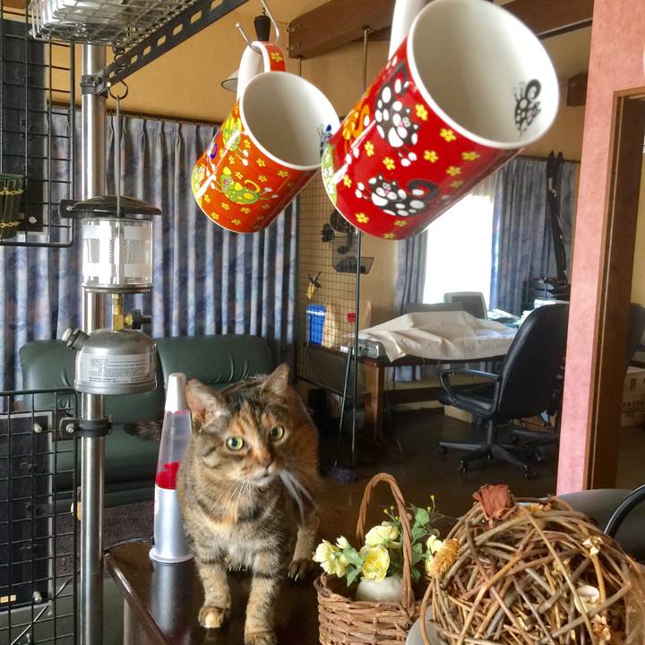 998ed265 4385 456d 9d8b 22f480a52be3