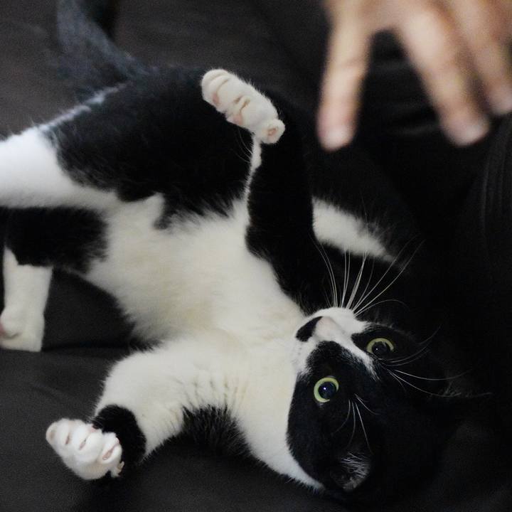 998efcc9 89be 4294 9e5f fb94a83a0d81