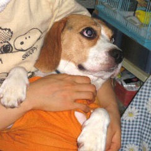 99900a5c 000b 4a41 9b4a 2413a1b5fecc