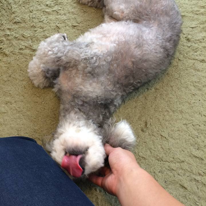 99904810 60f9 4c24 9407 7d7336a535d6