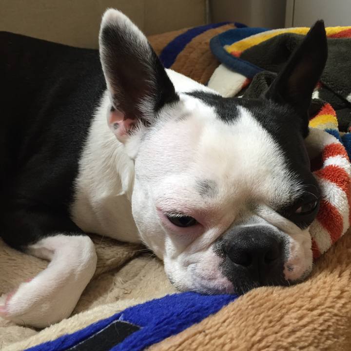 9990d1d0 7833 44fc 8c55 f9fdf24a562e