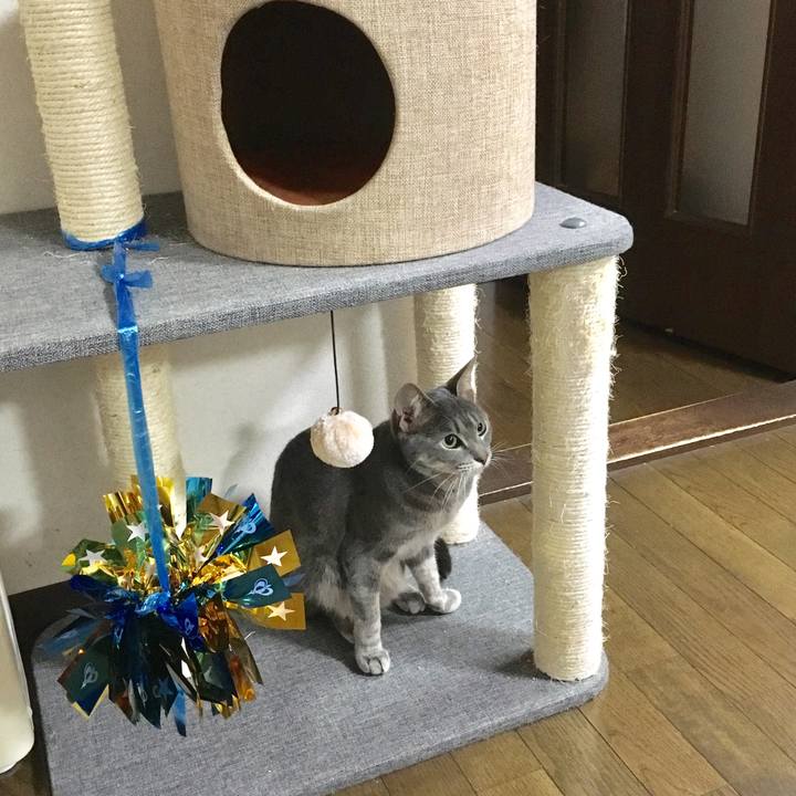 9990f881 da8f 46c9 bb23 a409294e36fe