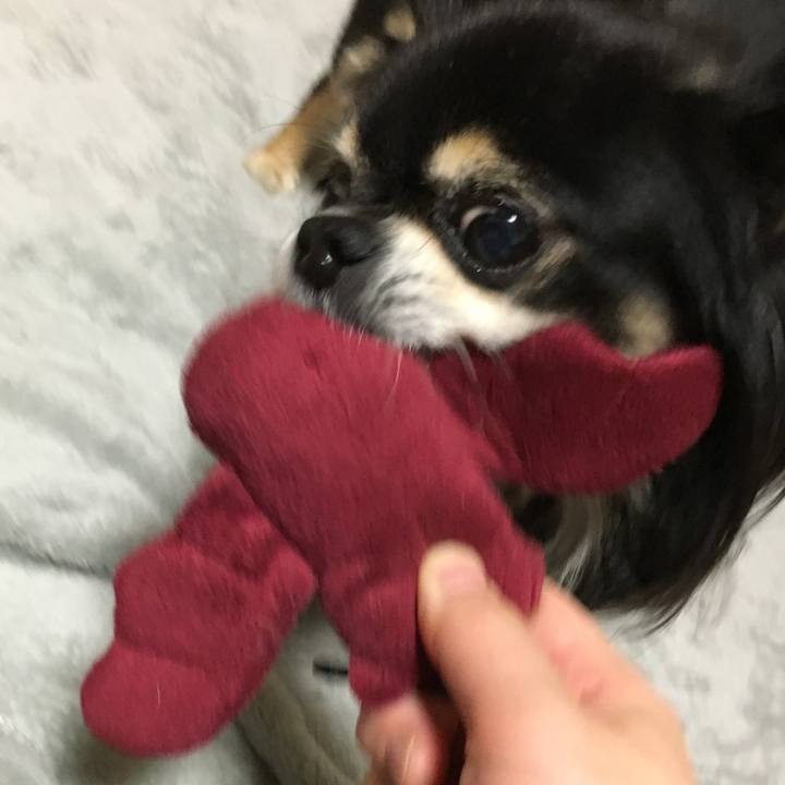 9991d56f 3092 4490 aa30 cb7ffccd0933