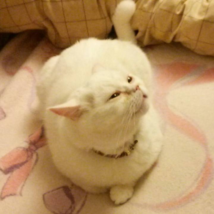 9991f4f9 9707 4de0 8462 b57304830704