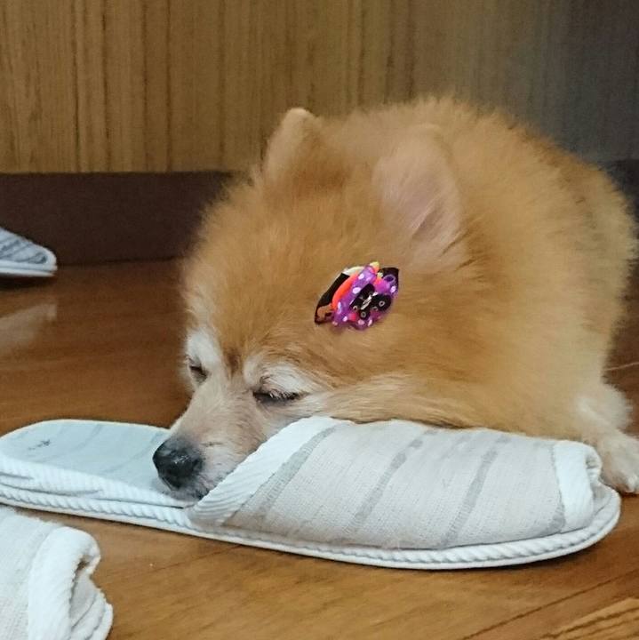 99924ee3 6e0d 4e5d ba6e 14c4fc19977e