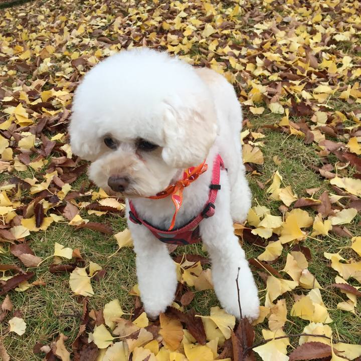 9992d511 e03b 4a8c 9bd3 179cf6bec5f5