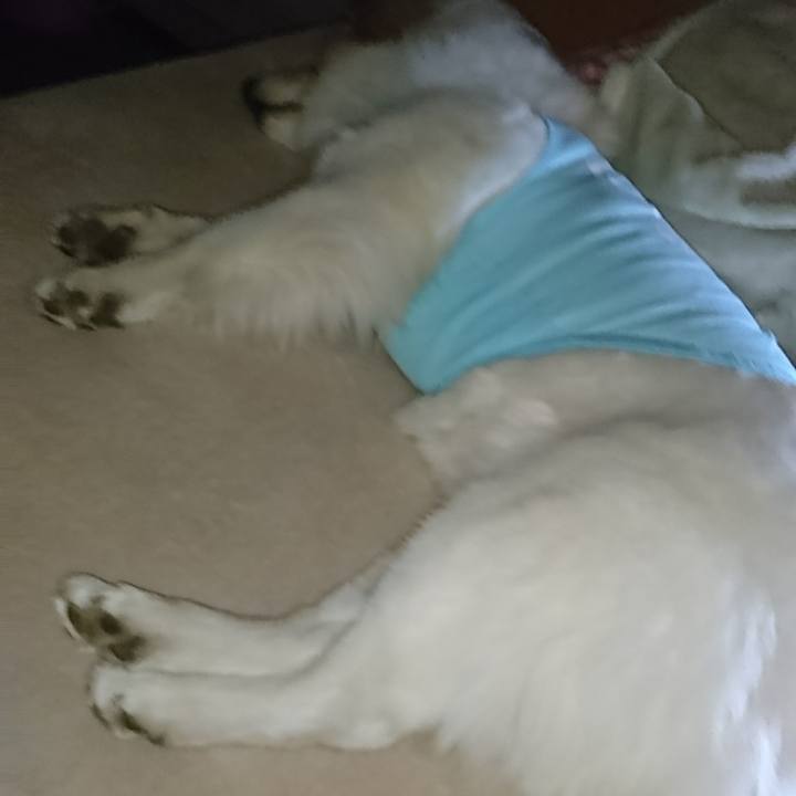 99932455 8a11 4050 bce5 f6ad5975dc04