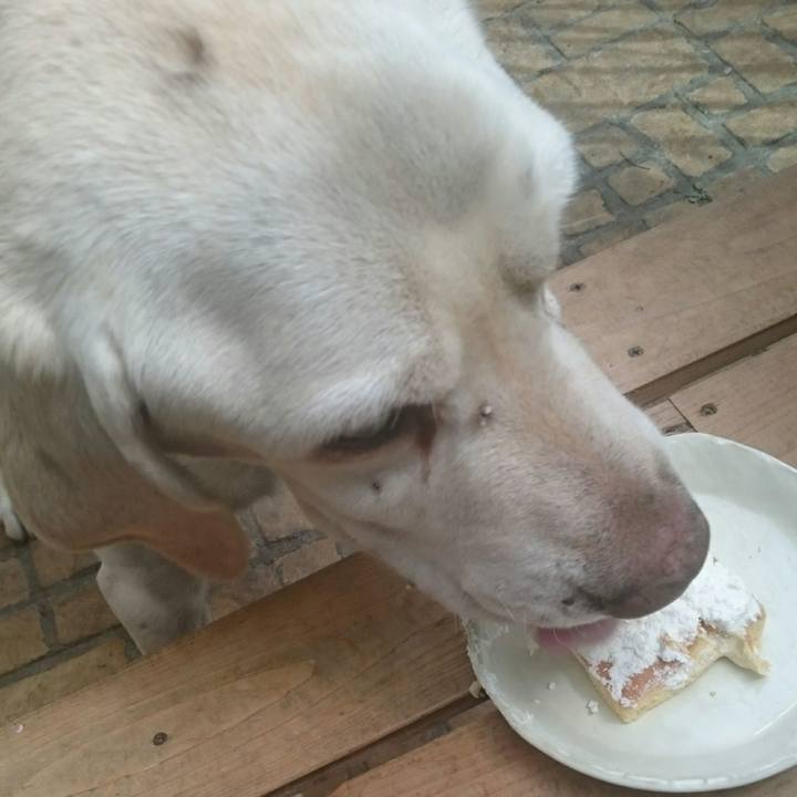 999346dc 39c9 4fec a85f dab8dea4a3c3