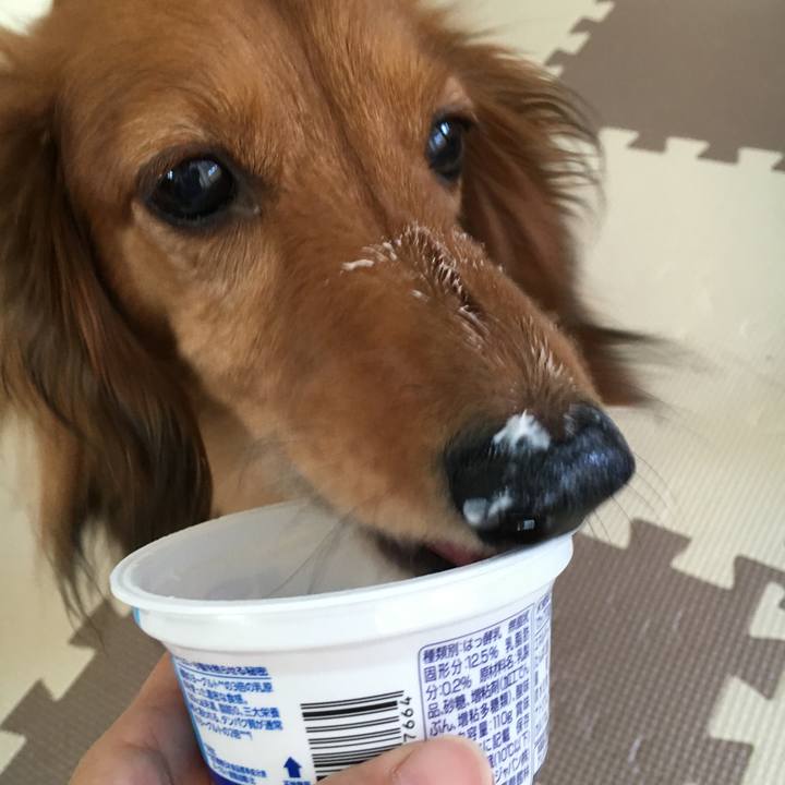 99939603 22f7 4f4a 8ee1 5ebe2f6d7d3f