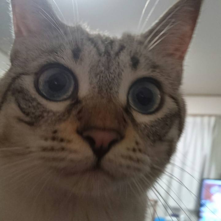 9994f170 092a 4311 88e1 9b2641bd06d6